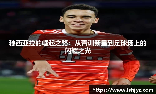 jn江南体育官网